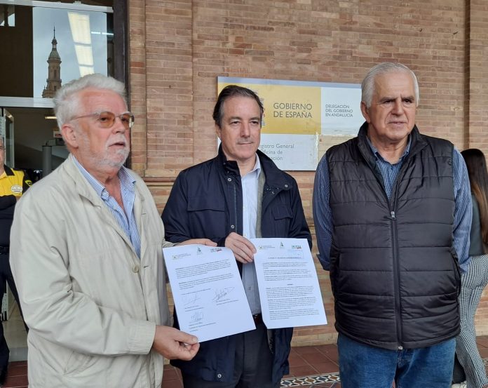 opas Andalucía