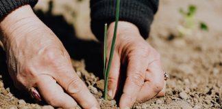 Reclaman al Gobierno que inicie el procedimiento para que agricultores y ganaderos autónomos puedan acogerse a la jubilación anticipada agricultor jubilado