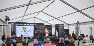 “Sabor Quijote” comienza con éxito su periplo por España para mostrar las potencialidades de la provincia de Ciudad Real Sabor Quijote