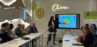La cosecha de aceituna crecerá un 25 por ciento en Castilla-La Mancha sectorial aceite cooperativas