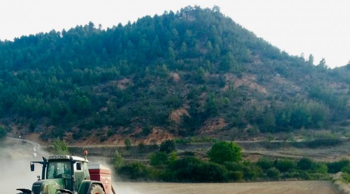 La falta de lluvias en octubre podría dificultar la siembra del cereal siembra cereales