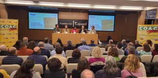 Los fondos de inversión “especulativos” han puesto el foco en el aceite español La uberización del olivar español