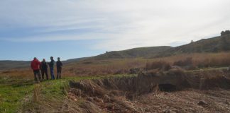 El Senado insta al Gobierno a compensar los daños de la DANA en las explotaciones agrarias daños de la DANA en las explotaciones agrarias