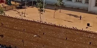 Los agricultores sacan sus tractores para colaborar en las tareas de ayuda tras la DANA DANA