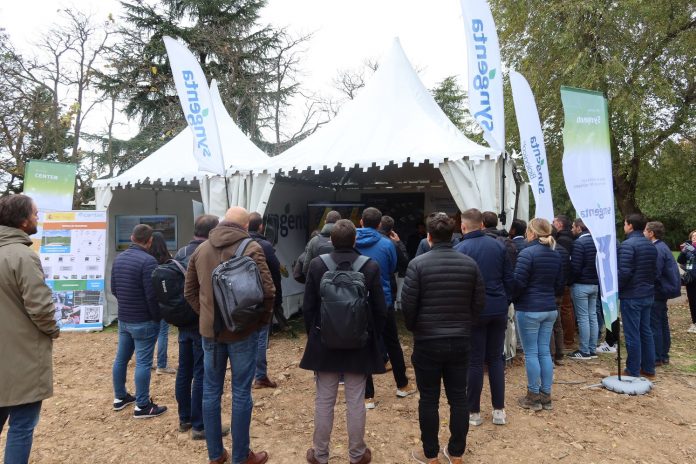 Syngenta