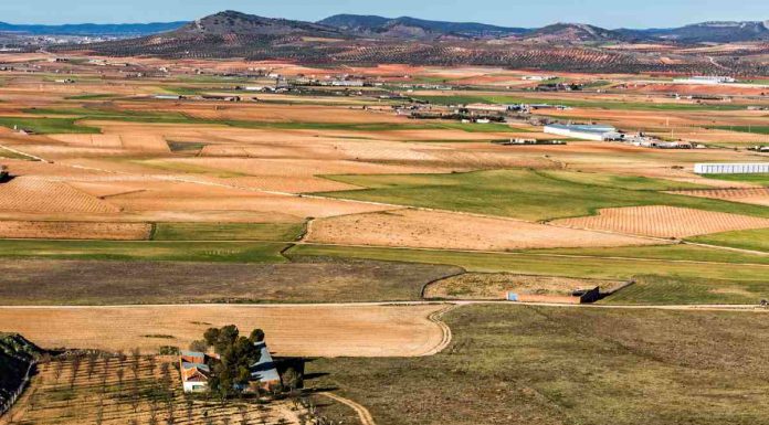 ¿Cuántas hectáreas hay en España de los principales cultivos y plantaciones? fincas