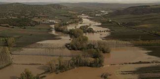 APAG Guadalajara reclama a la Confederación Hidrográfica del Tajo que limpie los cauces con urgencia daños DANA