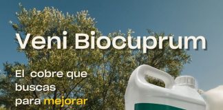 Koppert ofrece con Veni Biocuprum un suministro constante de cobre que permite reducir la dosis total por hectárea Koppert
