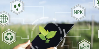 Predecir cosechas o analizar el estrés hídrico, la importancia de los datos en agricultura AgriTech