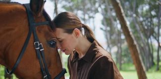 Cómo lidiar con la pérdida de un caballo caballo