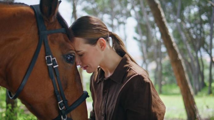 caballo