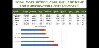 ¿Cuánto cuesta producir aceite de oliva? De 2,8 a 4,6 euros/kilo costes aceite