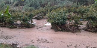 Ingenieros de Caminos: España necesita “con urgencia” un pacto de estado por el agua daños DANA AVA
