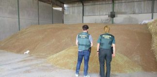 Tres detenidos por robar más de 200 toneladas de trigo