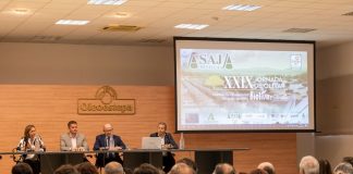 Las lluvias paralizan la cosecha de aceituna y tensionan los precios del aceite de oliva jornada olivar ASAJA