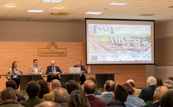 jornada olivar ASAJA