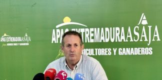 Exige la adaptación del precio del aceite de oliva a la realidad del mercado juan-metidieri-apag