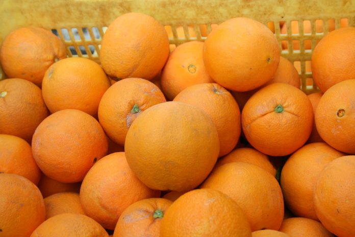 naranjas de Córdoba