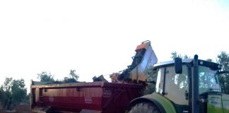 Destacan la “vertiginosa” salida de las bodegas de los vinos blancos extremeños vendimiadora