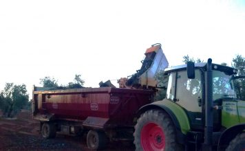Las condiciones climatológicas de las próximas semanas marcarán la vendimia 2026 en Castilla-La Mancha vendimiadora