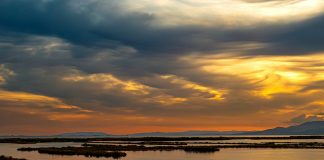 Comienza el proceso de revisión de los planes hidrológicos vigentes planes hidrológicos