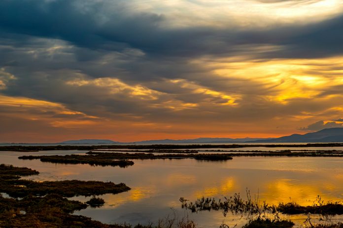 Delta Del Ebro miteco planes hidrológicos