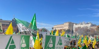 Unos 5.000 agricultores y ganaderos de toda España dicen no a Mercosur en Madrid manifestación