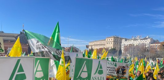 manifestación