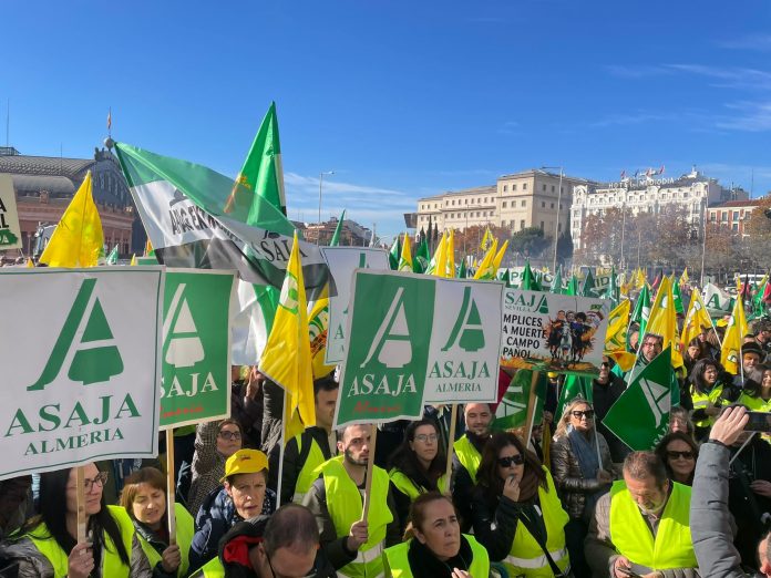 manifestación