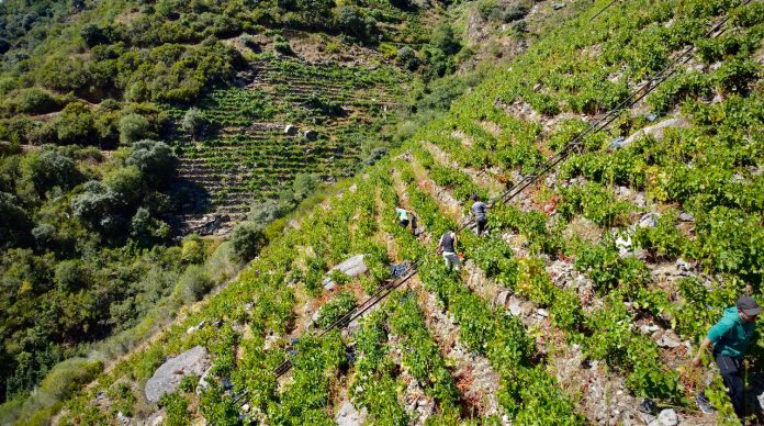 Ribeira Sacra Ribeira Sacra