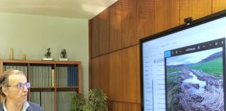 Agricultores de Guadalajara denuncian la respuesta de la Confederación del Tajo a la limpieza de cauces limpieza de cauces