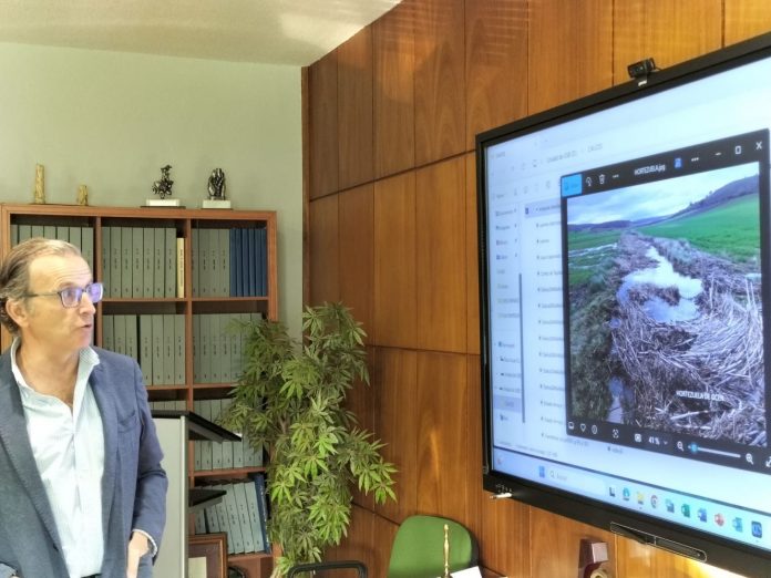 limpieza de cauces limpieza de cauces