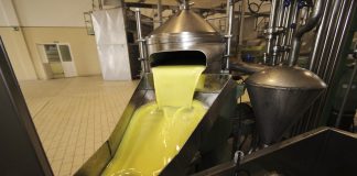 El precio del aceite de oliva sigue recuperándose aceite de oliva