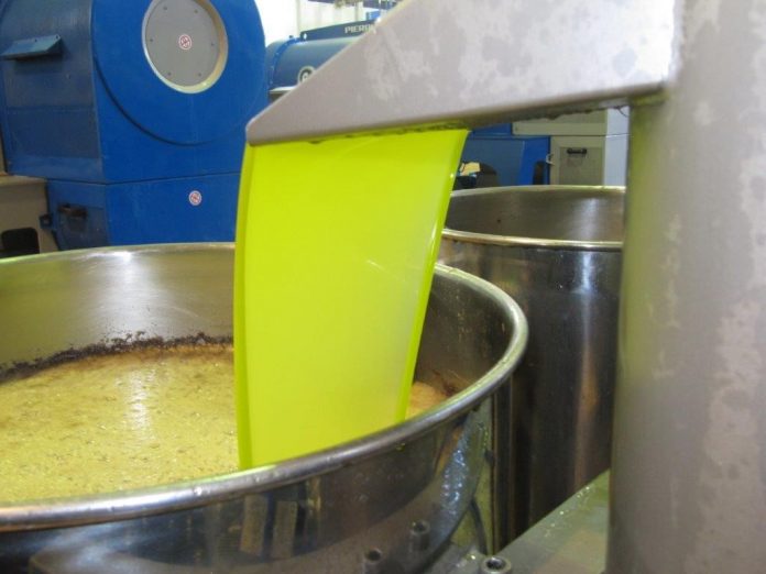aceite de oliva