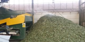 Unas 500 almazaras podrían cerrar en los próximos años por los costes de molturación de la aceituna almazara