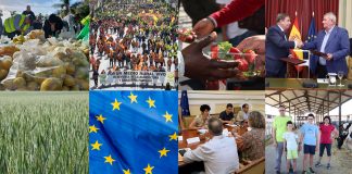 Balance agroganadero 2024: Cereales, viñedo y los problemas en sanidad animal pusieron la nota negativa Balance agroganadero 2024