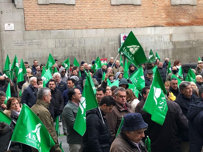 manifa asaja Toledo