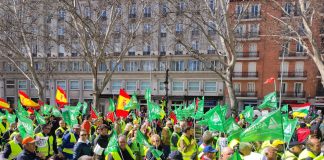 Galería de imágenes: Concentración en Madrid de agricultores y ganaderos convocados por ASAJA y COAG (16-12-2024)