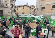 ¿Cuáles son oficialmente las organizaciones agrarias más representativas de Castilla-La Mancha? organizaciones agrarias