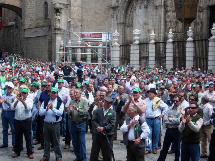 manifestación