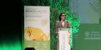 La estabilidad y continuidad de la PAC, claves para garantizar su efectividad Ana Rodríguez Castaño