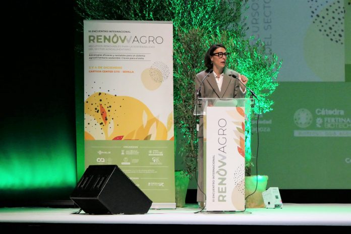 Ana Rodríguez Castaño
