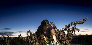 El Concurso de Fotografía del Mundo Rural publica las imágenes ganadoras de su XVIII edición Concurso de Fotografía del Mundo Rural