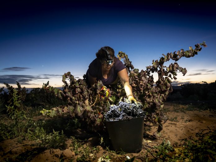 Concurso de Fotografía del Mundo Rural