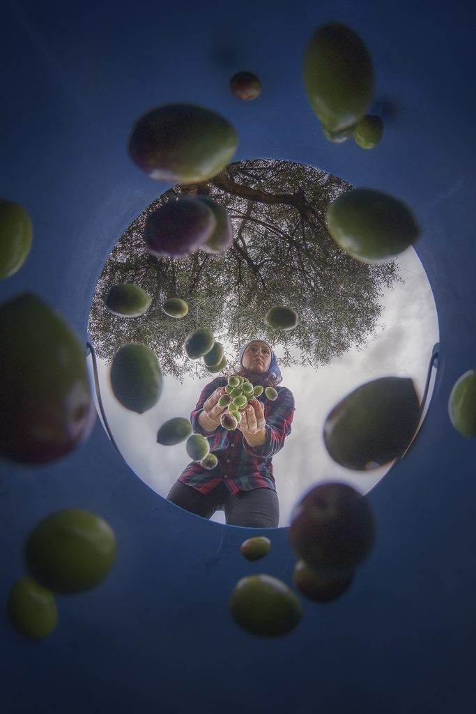 Concurso de Fotografía del Mundo Rural 