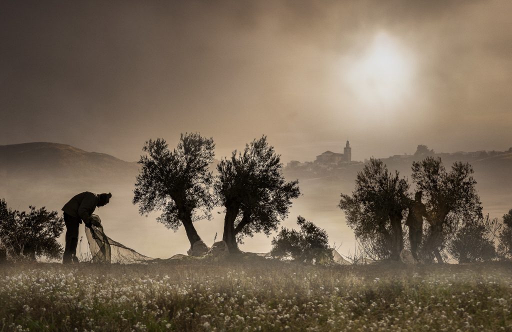 Concurso de Fotografía del Mundo Rural 