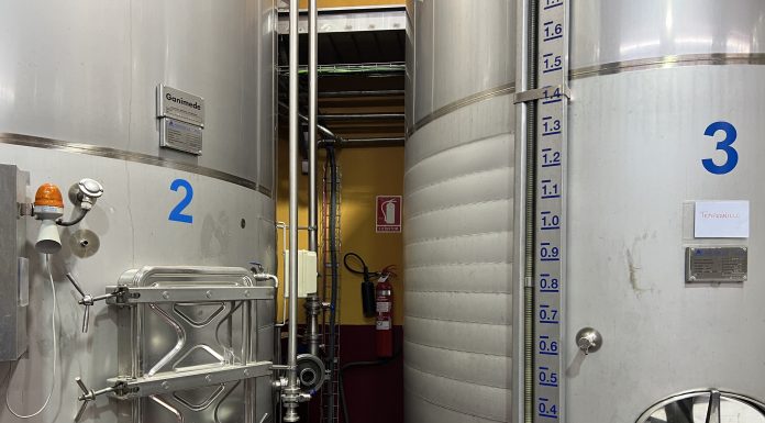 El sector vitivinícola español necesitará incorporar 22.600 jóvenes en los próximos años bodega