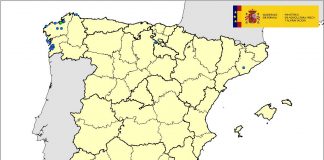 ¿Cómo está afectando la gripe aviar a España? gripe aviar a España