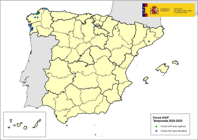 gripe aviar a España