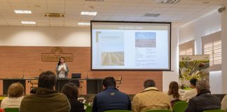 Publican una guía de apoyo para implantación de cubiertas vegetales en olivar (link disponible) guía de apoyo